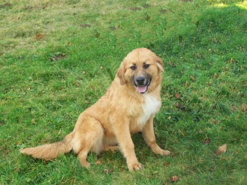 qui peut l'aider ?<br />Même plusieurs relias sont imaginable