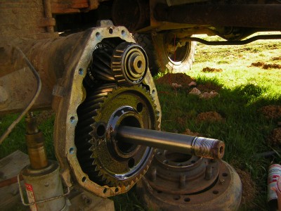 voila les deux pignons réunis pour la photo...