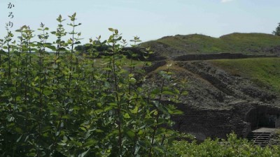 Sans titre.jpg (66.01 Kio) Vu 8828 fois 'sont fous ces romains