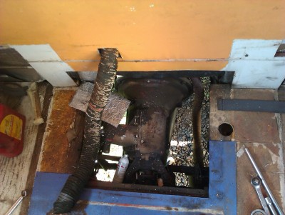 IMAG0223.jpg