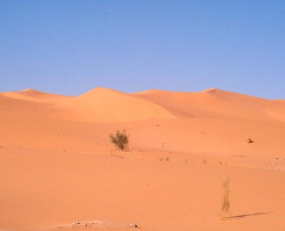 10 dunes.jpg