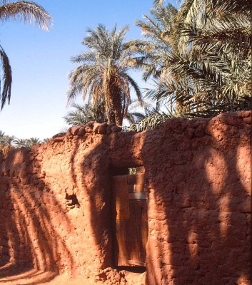 17 Timimoun.jpg