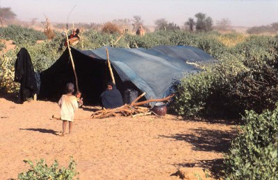 Campement Touareg