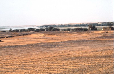 95.jpg