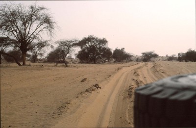 102.jpg