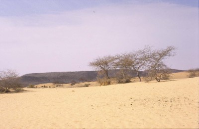 125.jpg