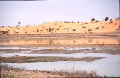 143.jpg