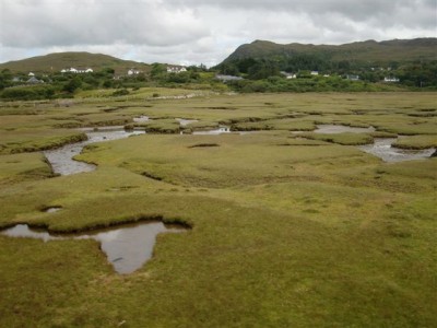 CIMG0851.JPG