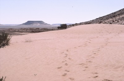 65.jpg