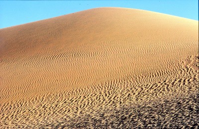 68.jpg