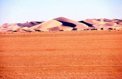 136.jpg