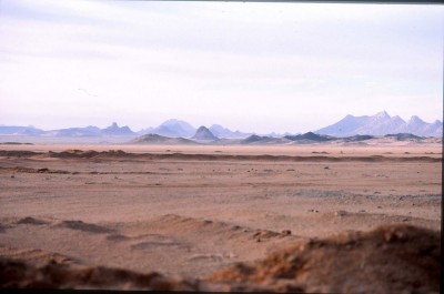 144.jpg