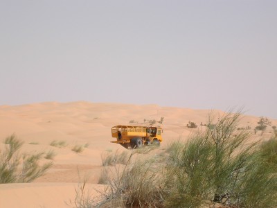 Arme absolue dunes.JPG