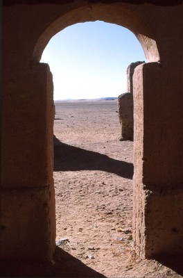 241.jpg