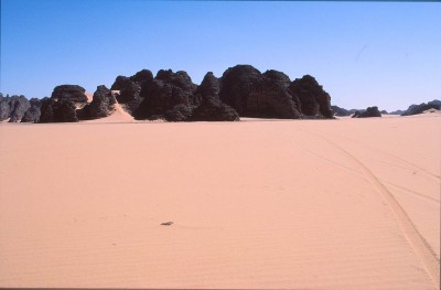 245.jpg
