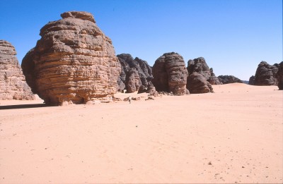 246.jpg