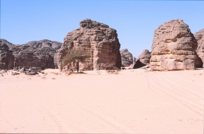248.jpg