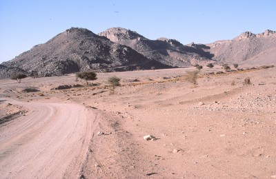 263.jpg