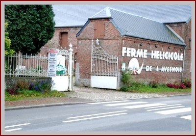 ferme_elevage_escargots.jpg