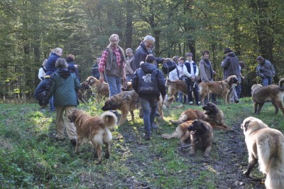2011-10-23 Ballade Leo 21.jpg