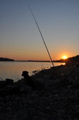 sur les rives du danube