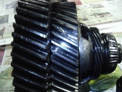 IMAG0021.JPG