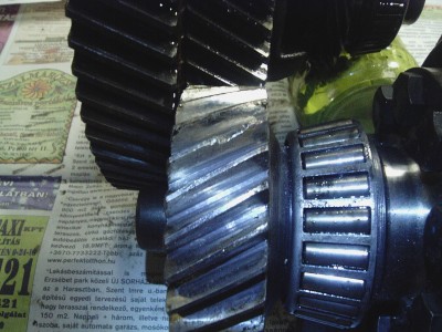 IMAG0022.JPG