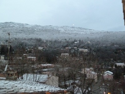 P1000775 - Copie.JPG