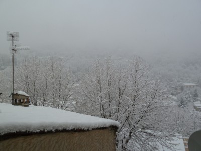 P1000779 - Copie.JPG