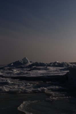 DSC_0020.JPG