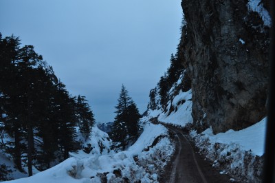 DSC_0017.JPG