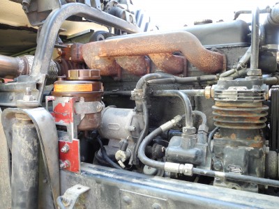 DSCN4106.JPG (4.2 Mio) Vu 5125 fois le nouveau bocal....