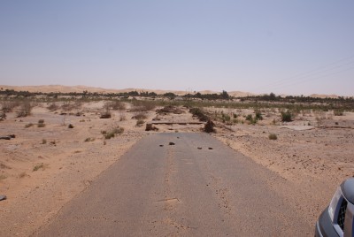 DSC06700.JPG