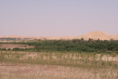DSC06712.JPG