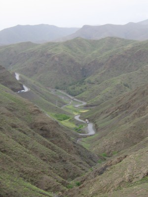 IMG_4895.JPG