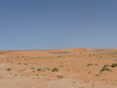 8.JPG