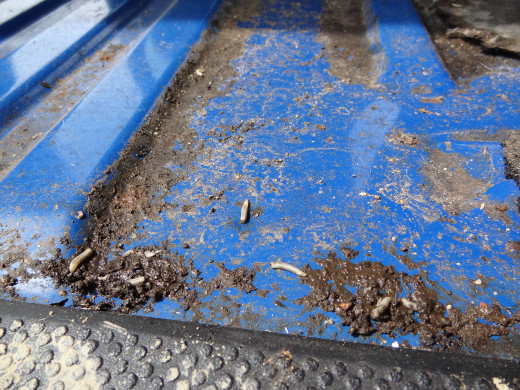 Bonne app ,bien sur :-)