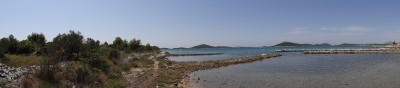 DSC01630.JPG