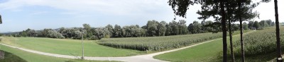 DSC01807.JPG