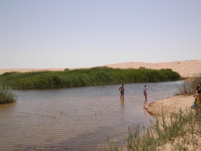DSCN0168.JPG
