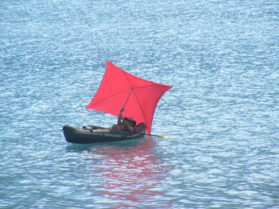 et heu.. un voisin, on a pas bien su s'il cherchait l'ombre ou à aller qq part