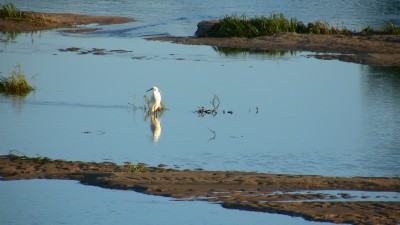 le camping au bord de la loire!