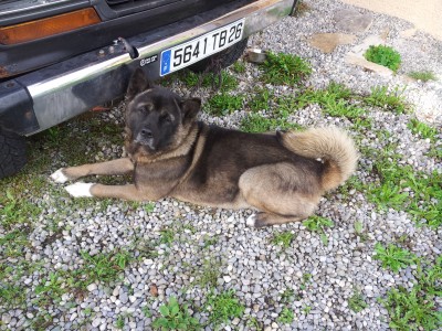 20121011_131723.jpg