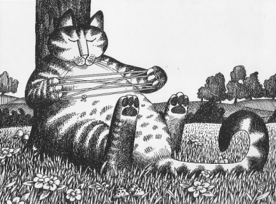mais que fait le chat?