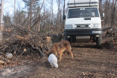 2012_12_31_9999_44.JPG (1.25 Mio) Vu 6033 fois Commence alors un grand moment de partage... de gamelle.