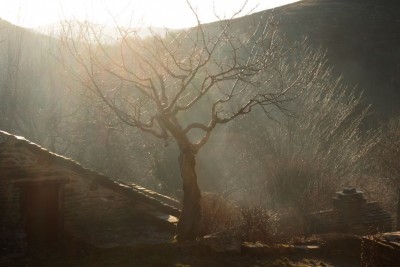 Petit matin en Lozère chez notre pote Michel...