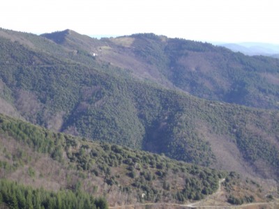 IMGP0286.JPG