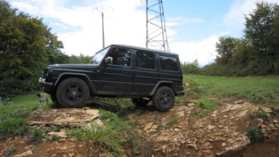 img1389d.jpg