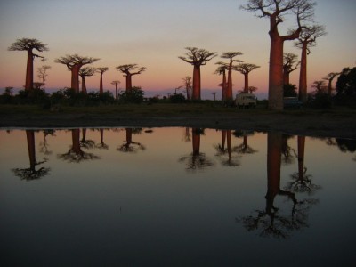 img1243e.jpg