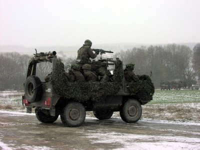 steyr_10.jpg